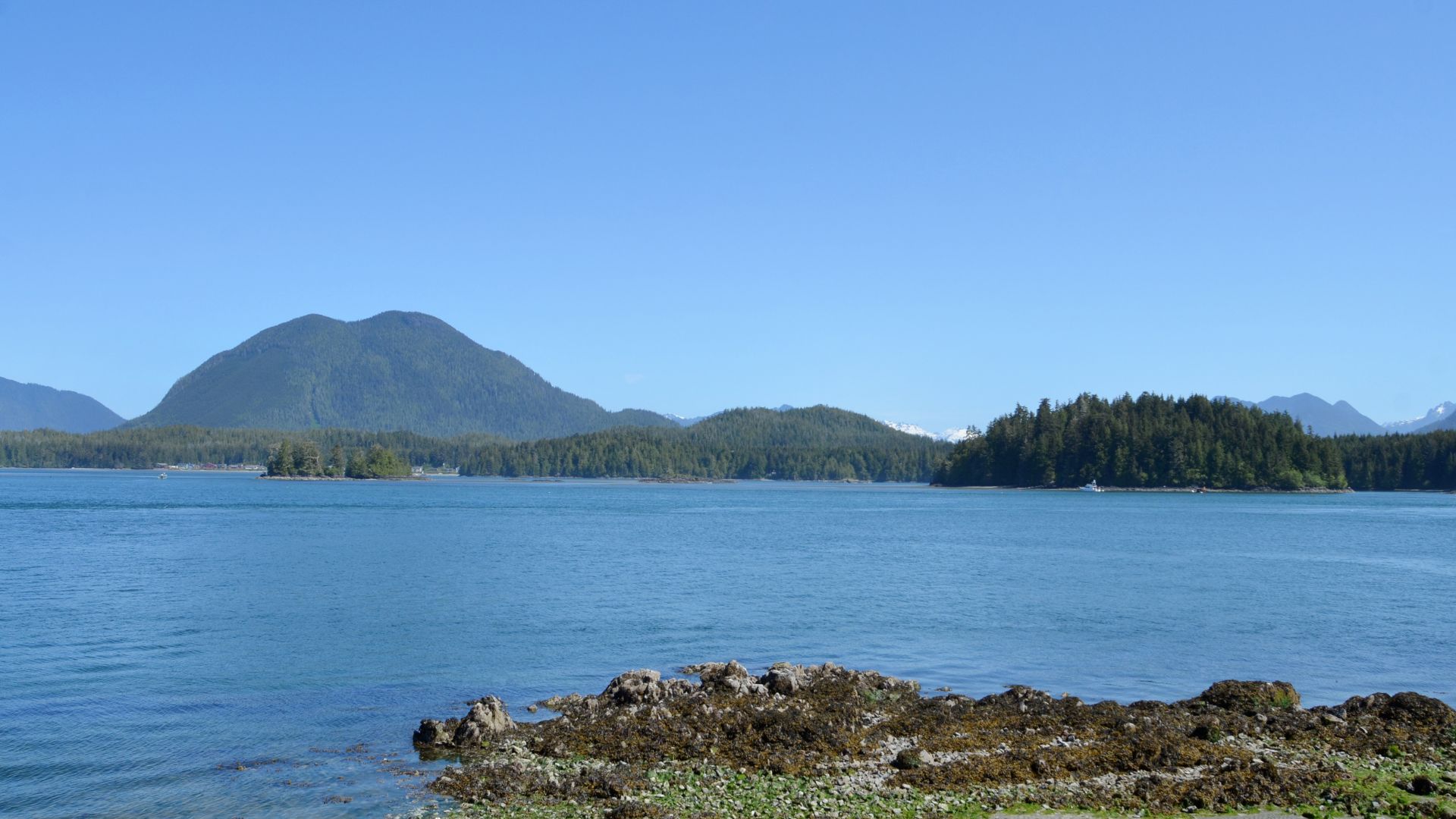 Clayoquot Sound, British Columbia